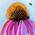 Bee-autiful Coneflower